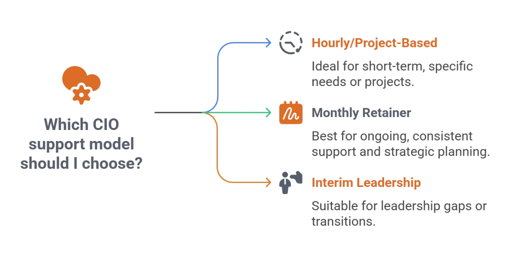 Balancelogic - Digital Transformation - CIO Support Model